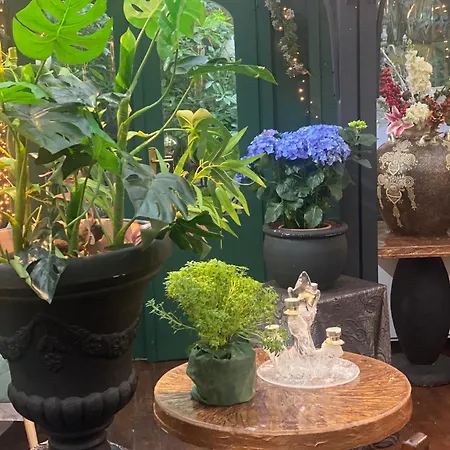 Bella Vista Apartmán