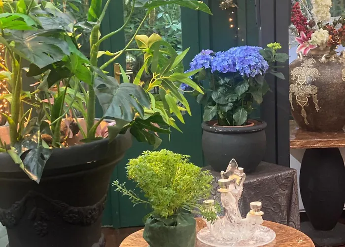 Bella Vista 아파트